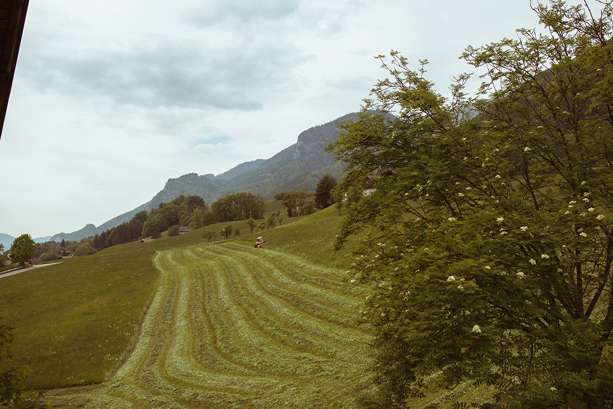 doppelzimmer-ohne-balkon4